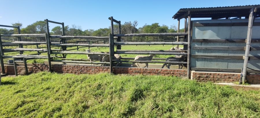 0 Bedroom Property for Sale in St Francis Bay Eastern Cape